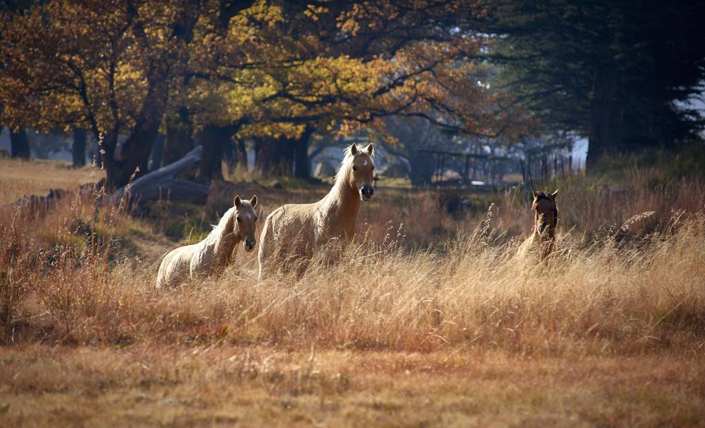 클라렌스 Dynasty Red Mountain Ranch 아파트 외부 사진